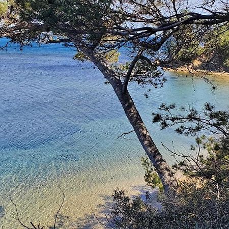 Appartement Dans Residence Avec Piscine La Londe-les-Maures Εξωτερικό φωτογραφία