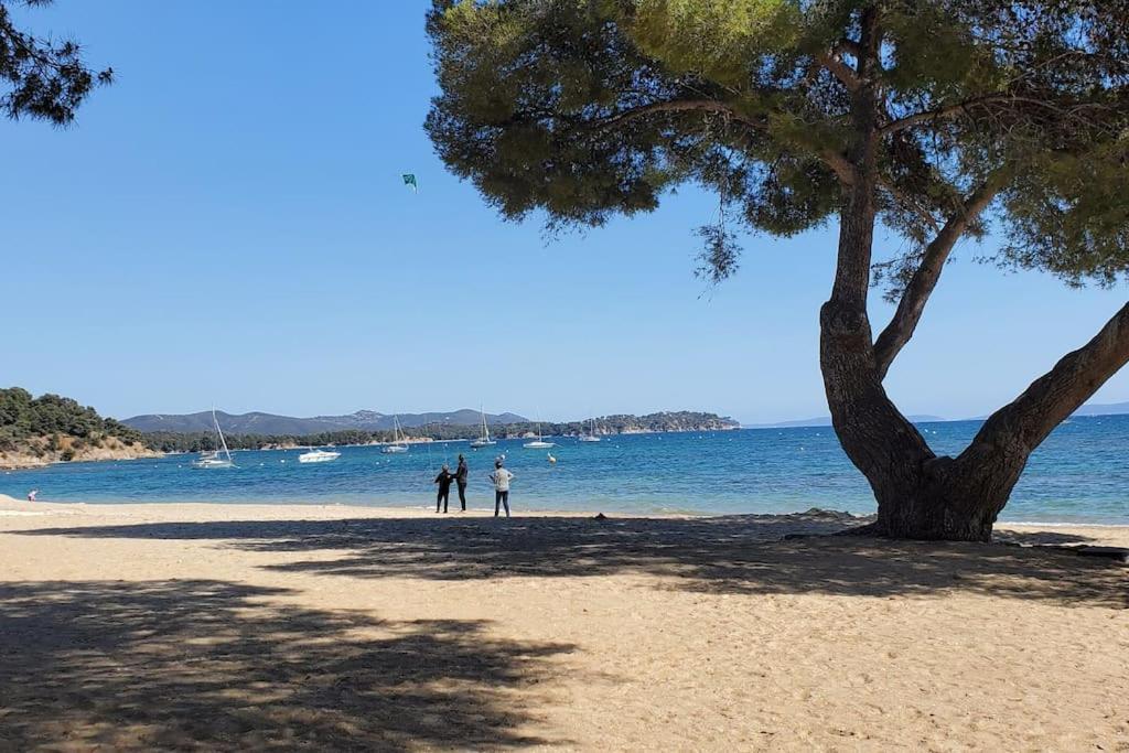 Appartement Dans Residence Avec Piscine La Londe-les-Maures Εξωτερικό φωτογραφία